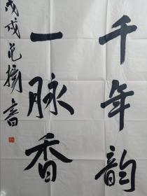 保真书画，中国国家画院副院长，著名画家范扬先生四尺整纸书法精品一幅138×69cm