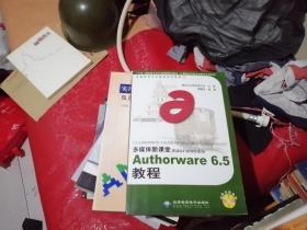 Authorware 6.5教程（1CD）