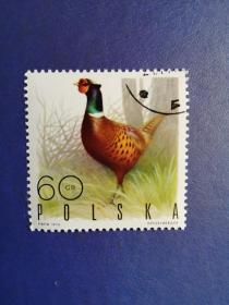 外国邮票   波兰邮票   1970年山鸡（ 盖销 ）