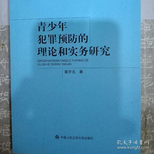 青少年犯罪预防的理论和实务研究