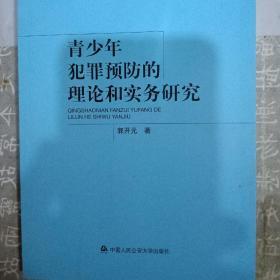 青少年犯罪预防的理论和实务研究