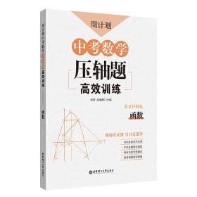 周计划 中考数学压轴题高效训练 函数 答案详解版