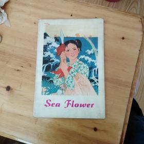 海花。1975年。英文版。