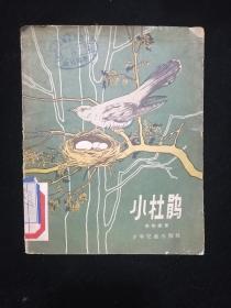 《小杜鹃》著名画家儿童美术家赵蓝天画·1957年少年儿童出版社一版一印！