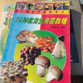 食用菌栽培