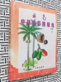 云南中草药彩图精选珍藏下册2001年老版精装铜版纸