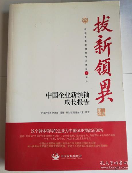 拔新领异 中国企业新领袖成长报告