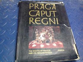 大16开精装外文原版 PRAGA CAPUT REGNI