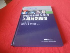 神经外科微创手术入路解剖图谱（神经外科手术入路解剖图谱丛书）