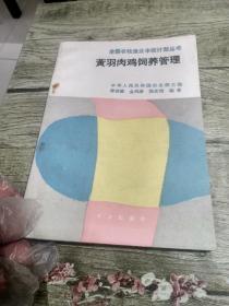 黄羽肉鸡饲养管理