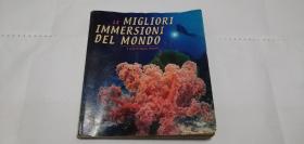 外文原版英文原版潜水海底海洋鱼类LE MIGLIORI IMMERSIONI DEL MONDO A cura di Egidio Trainito