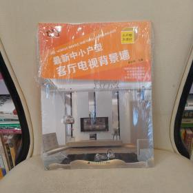 最新中小户型：客厅电视背景墙