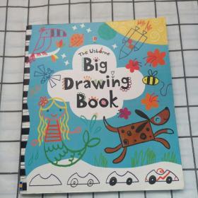 The  Usborne  Big Draeing book