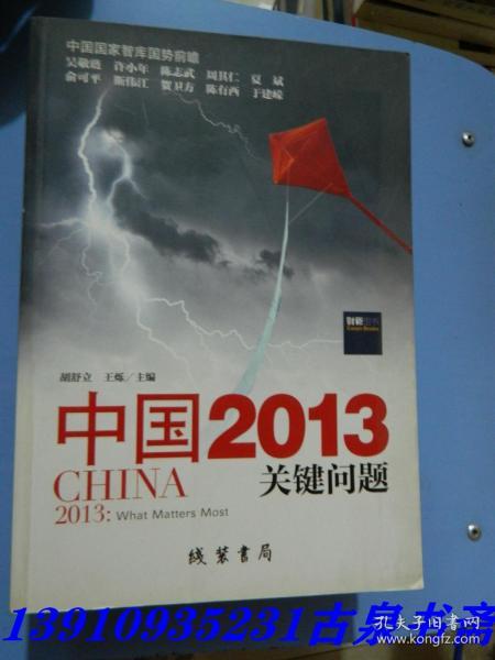 中国2013：关键问题