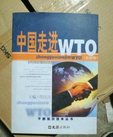 中国走进WTO(最新版)