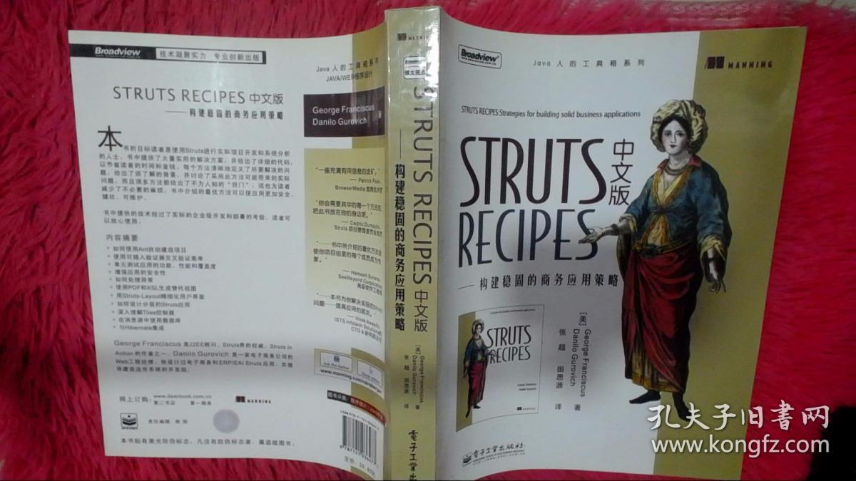 STRUTS RECIPES 中文版：构建稳固的商务应用策略