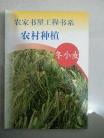 （农家书屋工程书系）农村种植冬小麦