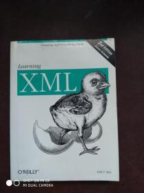 Learning XML