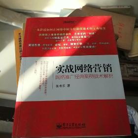 实战网络营销：网络推广经典案例战术解析