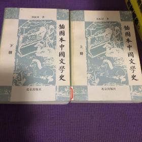 插图本中国文学史（上、下册）