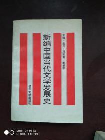 新编中国当代文学发展史