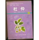 药用动植物种养加工技术杜仲