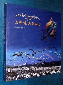 在那遥远的地方 海北（青海）