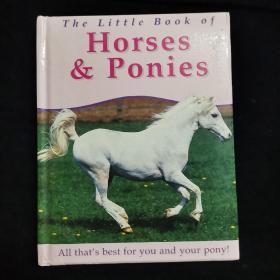 英文原版绘本 HORSES & PONIES