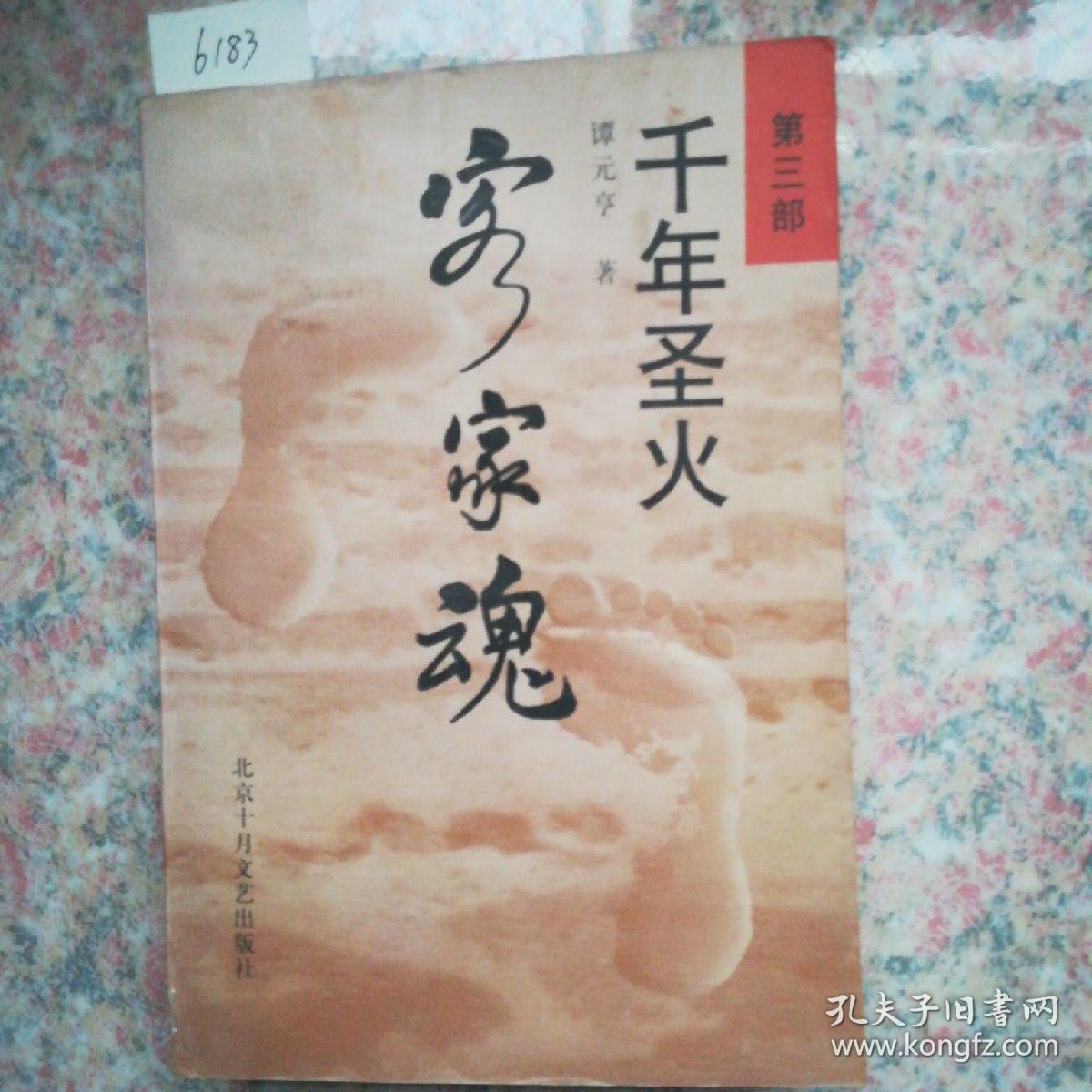 容家魂第三部   千年圣火