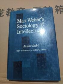 Max Webers Sociology of Intellectuals
