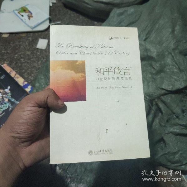 和平箴言：21世纪的秩序与混乱