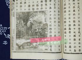 清光绪铜版线装和刻本《万国地理初步》上下两册全，1894年（明治27年），7幅彩色地图、大量铜版画，学海指针社编集英堂藏板，介绍了当时亚洲（包括中国）欧洲美洲大洋洲各国家的地理、气候、物产、风土人情、城市概况，清晰度高、代表当时世界最先进的印刷水平，富艺术性，品较好，孤品