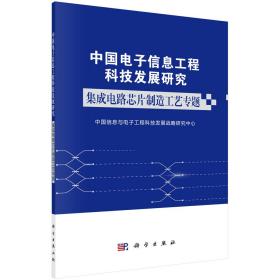 中国电子信息工程科技发展研究集成电路芯片制造工艺专题