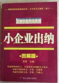 小企业出纳（图解版）——无师自通财会系列