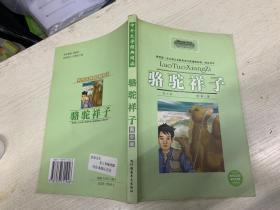 中外文学经典阅读 骆驼祥子  青少版