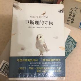 卫斯理的守候 塑封