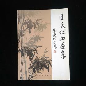 王天仁书画集 一版一印