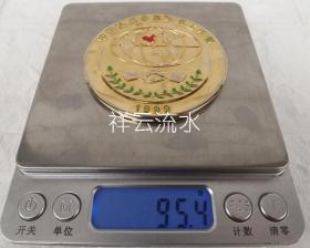 1999年首届中国杰出青年外事工作者奖章