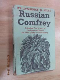 英文书    RUSSIAN   COMFRER  硬精装   详见图片
