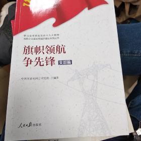 旗帜领航争先锋 : 支部篇