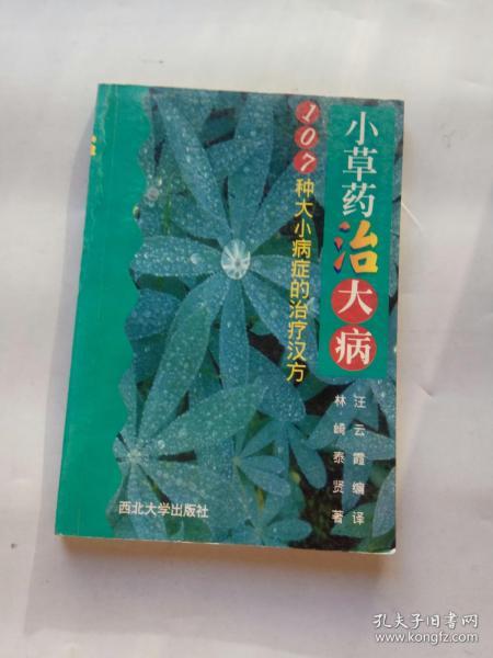 小草药治大病（107种大小病症的治疗汉方，1998年一版一印！）