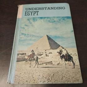 UNDERSTANDING EGYPT（英文原版，硬精装）