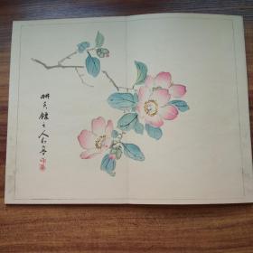 【191104】  明治27年（1894年）  木版彩色套印画谱    《丹青一斑》5册一套全       全图本 经折装    白纸大开精刻    芸艸堂（艺草堂 ）木板画册   花鸟，山水等      模仿芥子园画谱     全图精美