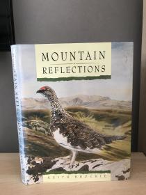 Mountain Reflections By Keith Brockie基思·布罗基的《山的倒影》逼真手绘图 带书衣 品新 29*22cm