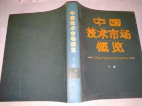 中国技术市场概览 上下册