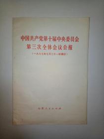 中国共产党第十届中央委员会第三次全体会议公报