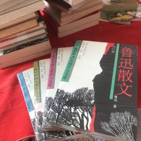 二十世纪中国文化名人文库 鲁迅散文（1-4）