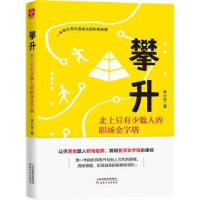 攀升：走上只有少数人的职场金字塔（砍柴书院创始人李砍柴倾力推荐）