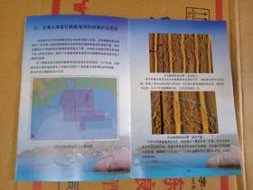 【天津大神堂画册】海洋生物与地质演变的活百科全书