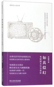 如真似幻：电视剧文化与赏析/网络化人文丛书